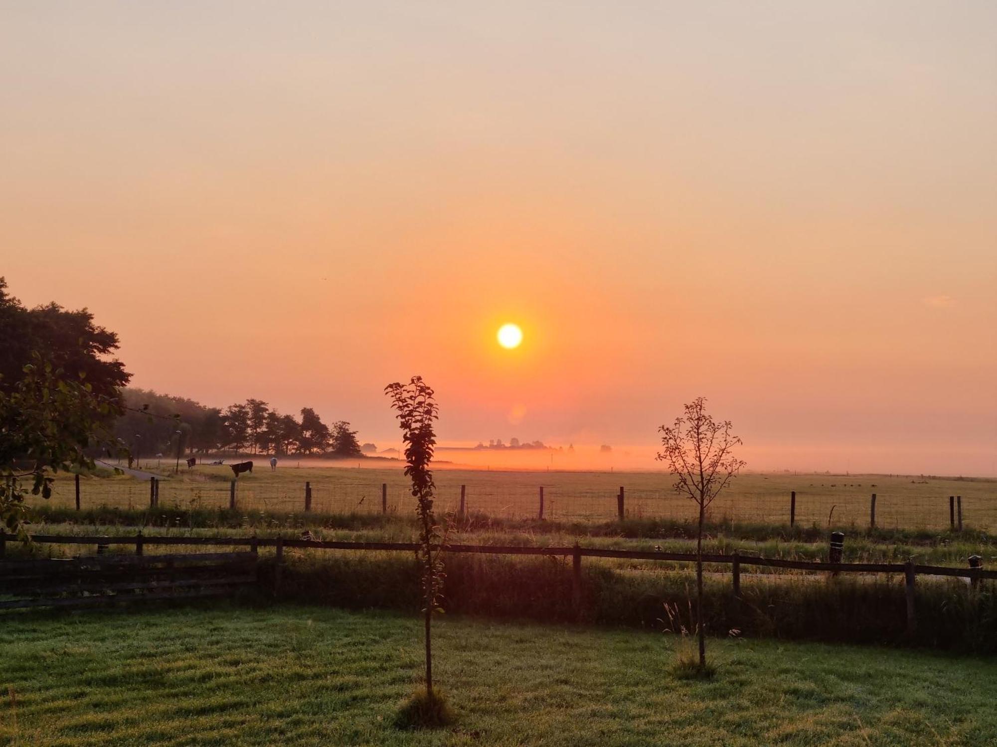 Dw Castricum Hotel Kültér fotó